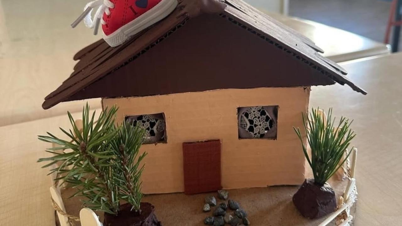 Çıldır Çok Programlı Anadolu Lisesi’nden il birinciliği