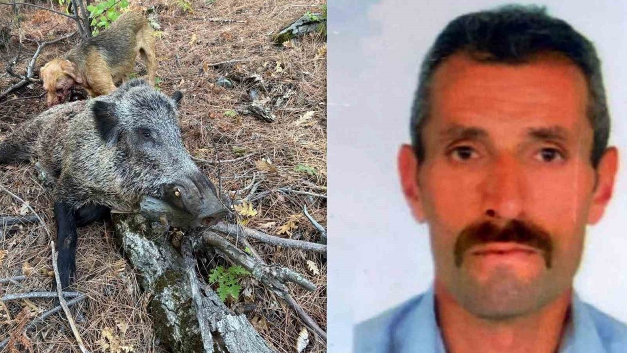 Erzincan’da domuzun saldırısına uğrayan avcı öldü