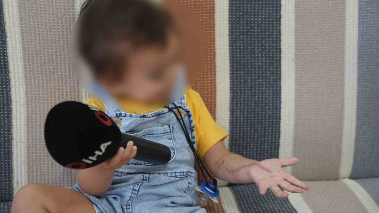 Iğdır’da 1,5 yaşındaki çocuğun tomografi sonrası iki operasyon geçirdiği ve kolunda hasar oluştuğu iddia edildi