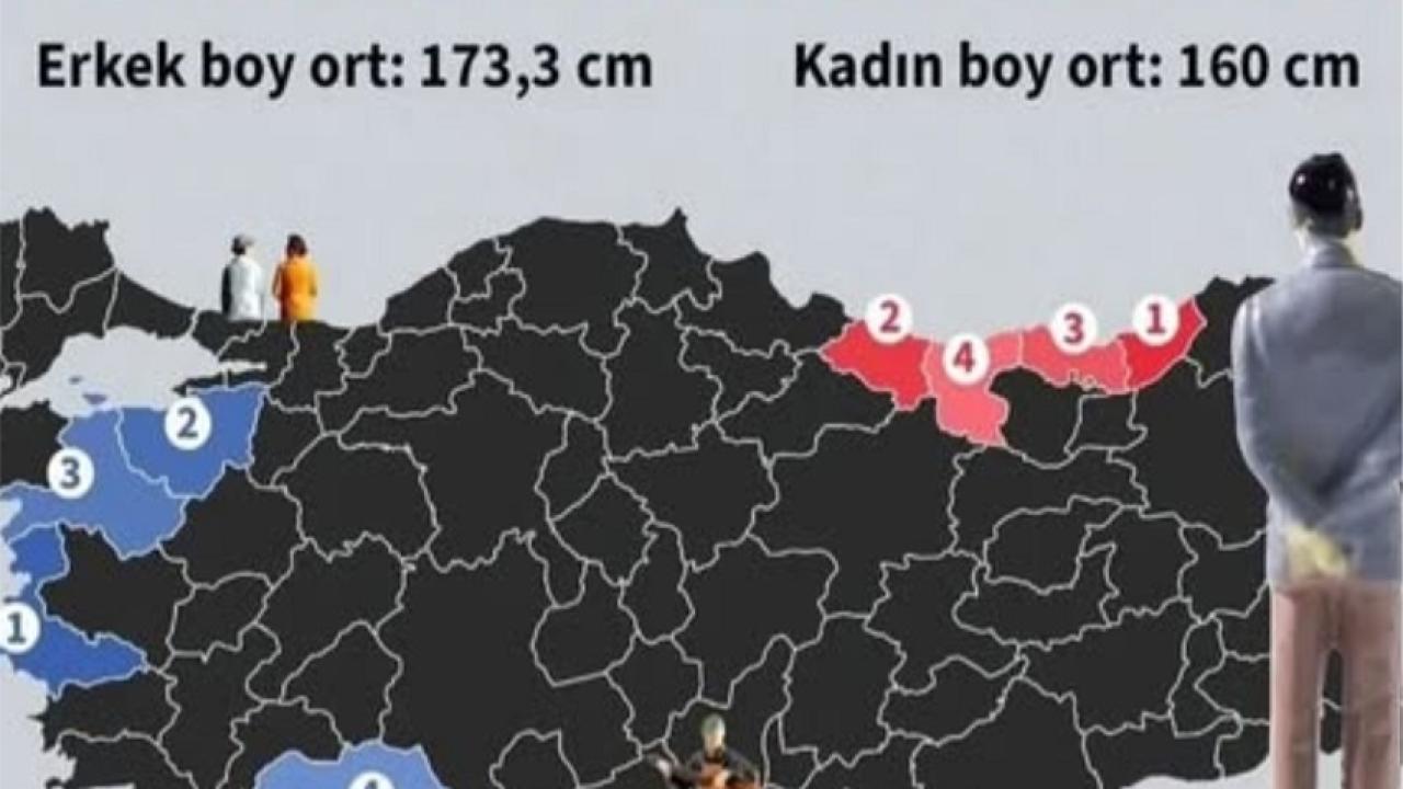 İllerin boy ortalaması açıklandı!