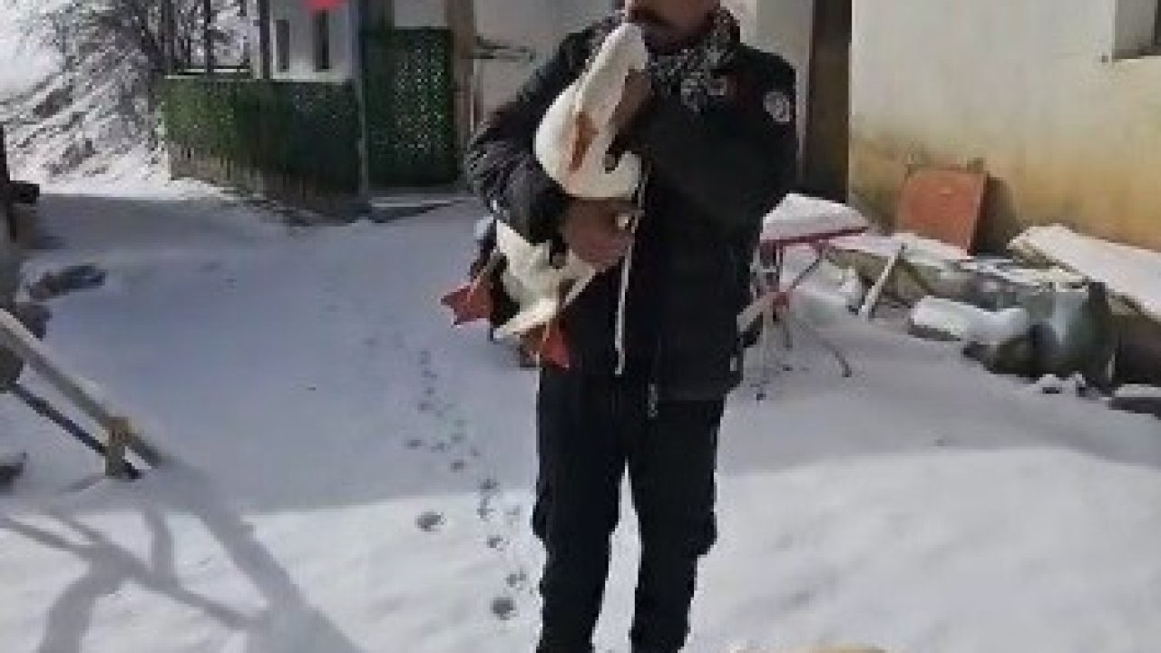 Kazından helallik istedi