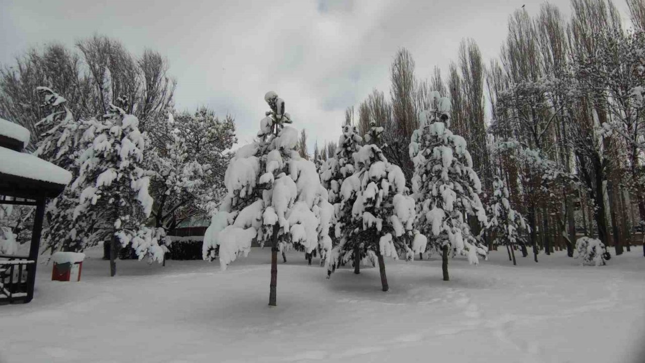 Van’da karla gelen güzellik: Ağaçlar kartpostallık manzaralar oluşturdu