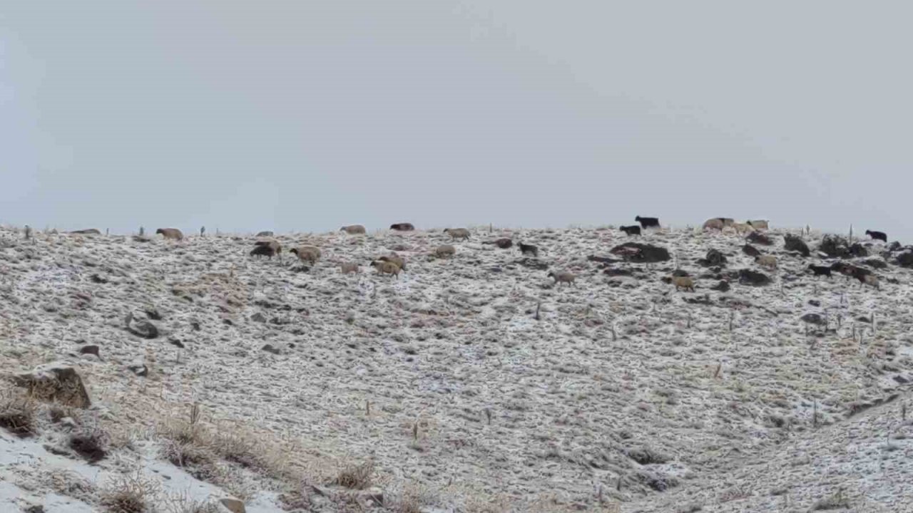 Van’da kış yüzünü gösterdi: Erek Dağı ve çevresi beyaza büründü