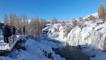 Muradiye Şelalesi buz tuttu