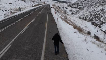 Kuşlar için yol kenarlarına buğday serptiler