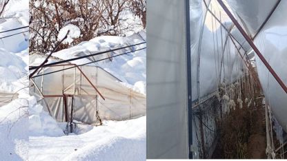 Hakkari’de kar seraları çökertti