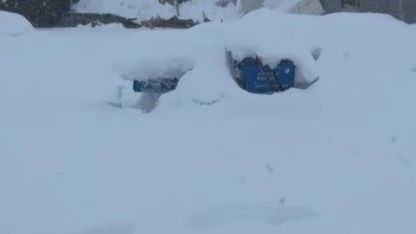 Tunceli’de kar yüküne dayanamayan iş yerinin çatısı çöktü
