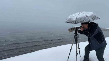 Tatvan’a kış ortasında kuş akını