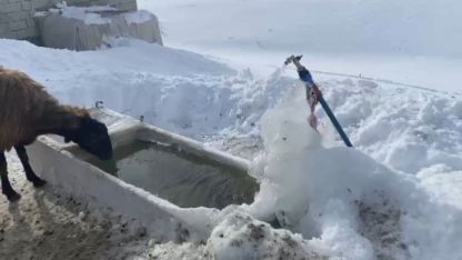 Ağrı’da soğuk hava etkisini göstermeye devam ediyor