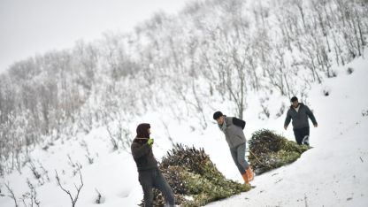 Muş’ta besicilerin kızaklı zorlu kış mesaisi