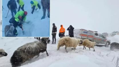 Artvin'deki çığ felaketinden acı haber geldi