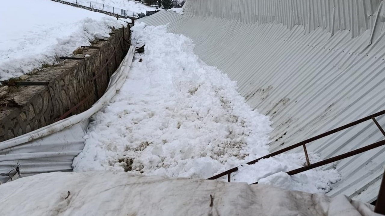 Elazığ’da ahırın tavanı çöktü