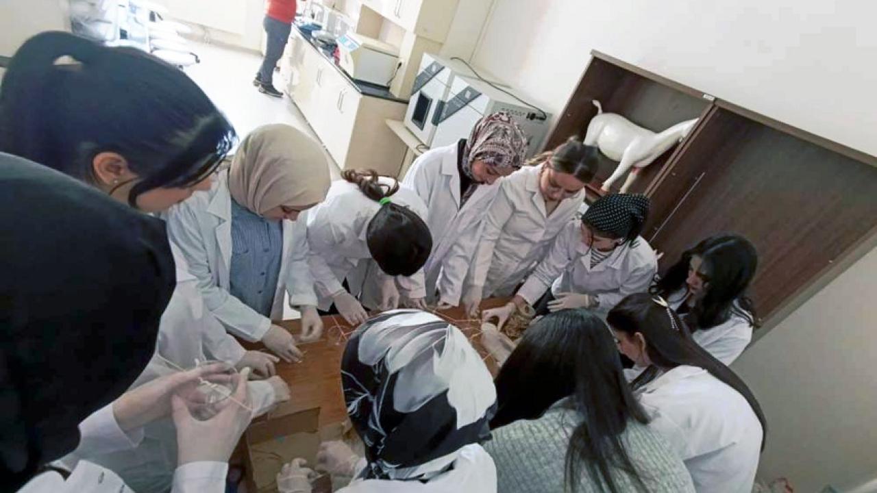 Göle Nihat Delibalta MYO öğrencileri ekonomiye destek için kolları sıvadı