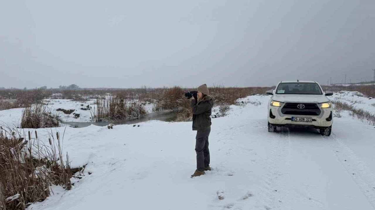Iğdır’da belgesiz avlanan şahsa idari yaptırım uygulandı
