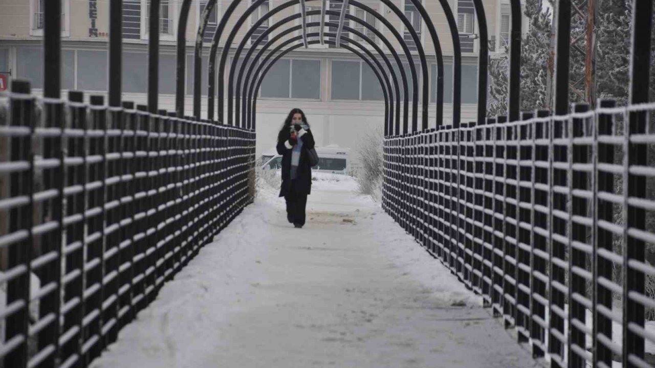 Kars’ta soğuktan ağaçlar kırağı tuttu