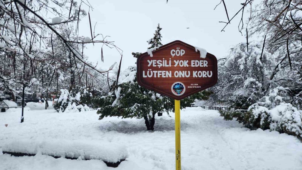 Tunceli’de yoğun kar yağışı etkili oldu