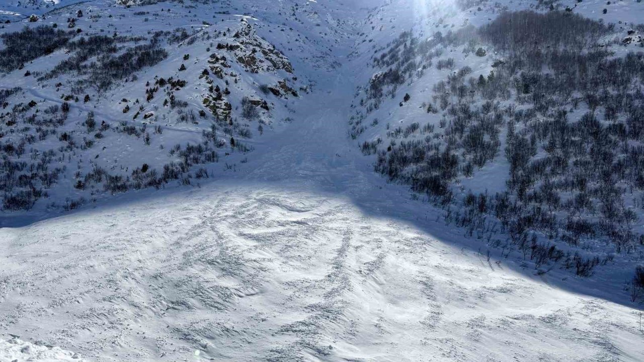 Van-Çatak yolu çığ düşmeleri nedeniyle 4 gündür ulaşıma kapalı