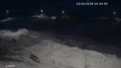 Kars’ta kurtlar köylerde cirit atıyor