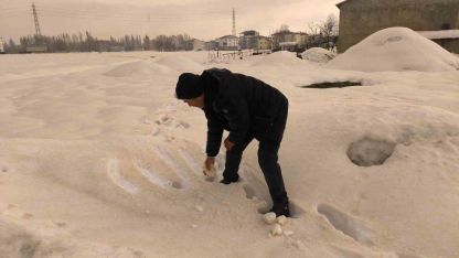 Muş’ta bembeyaz kar bir gecede kahverengiye dönüştü