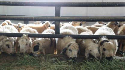 Elazığ’da 6 köy karantinaya alındı