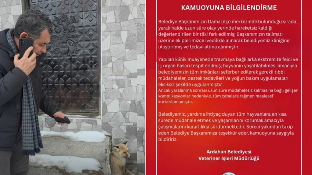 Damal'da Yaralı Bulunmuştu: Kurtarılamadı!