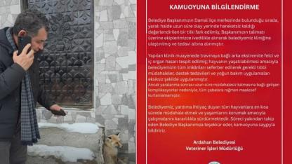 Damal'da Yaralı Bulunmuştu: Kurtarılamadı!