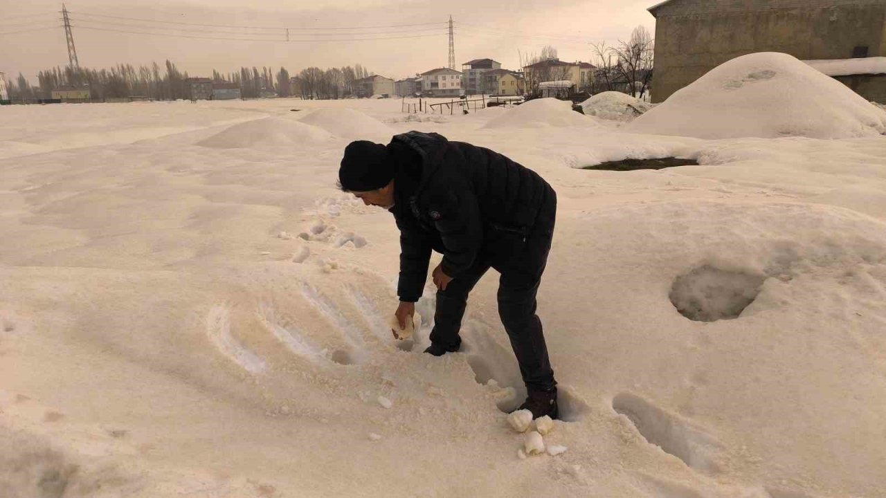Muş’ta bembeyaz kar bir gecede kahverengiye dönüştü