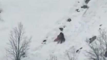 Kış uykusundan uyanan ayıların kar keyfi