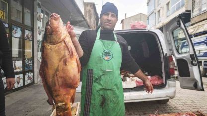 Ahlat’ta dev sazan balıklarına yoğun ilgi