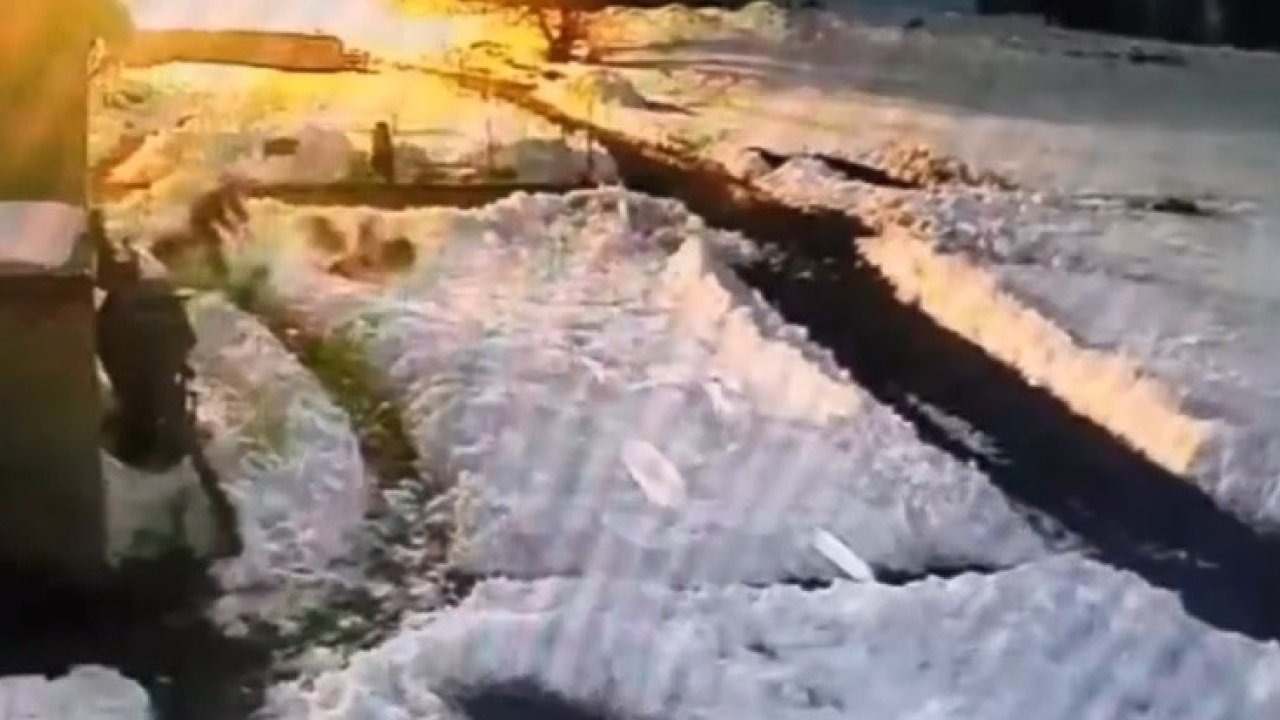 Kars’ta kurt sürüsünü kürekle kovalayan vatandaş kamerada