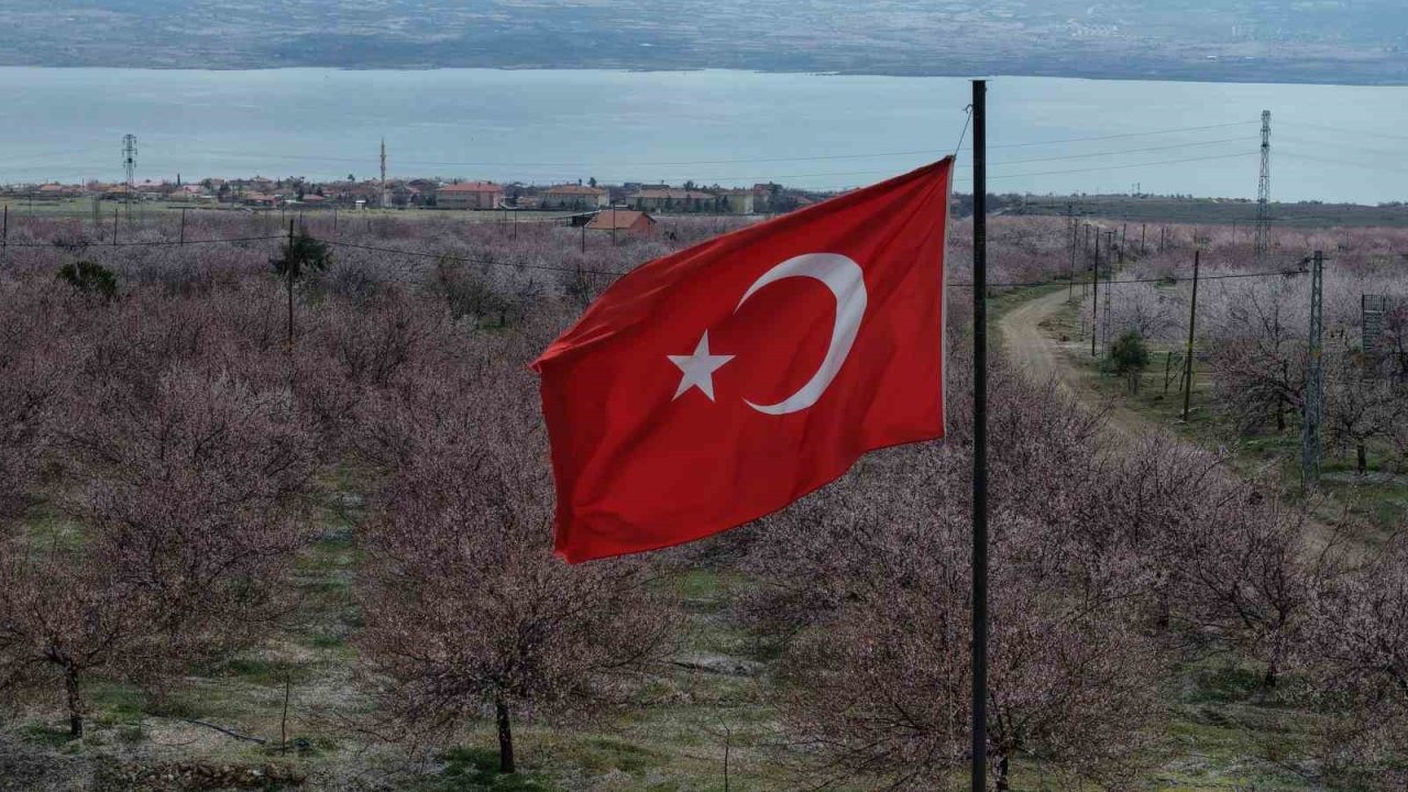 Kayısı bahçeleri beyaza büründü, ortaya eşsiz manzaralar çıktı