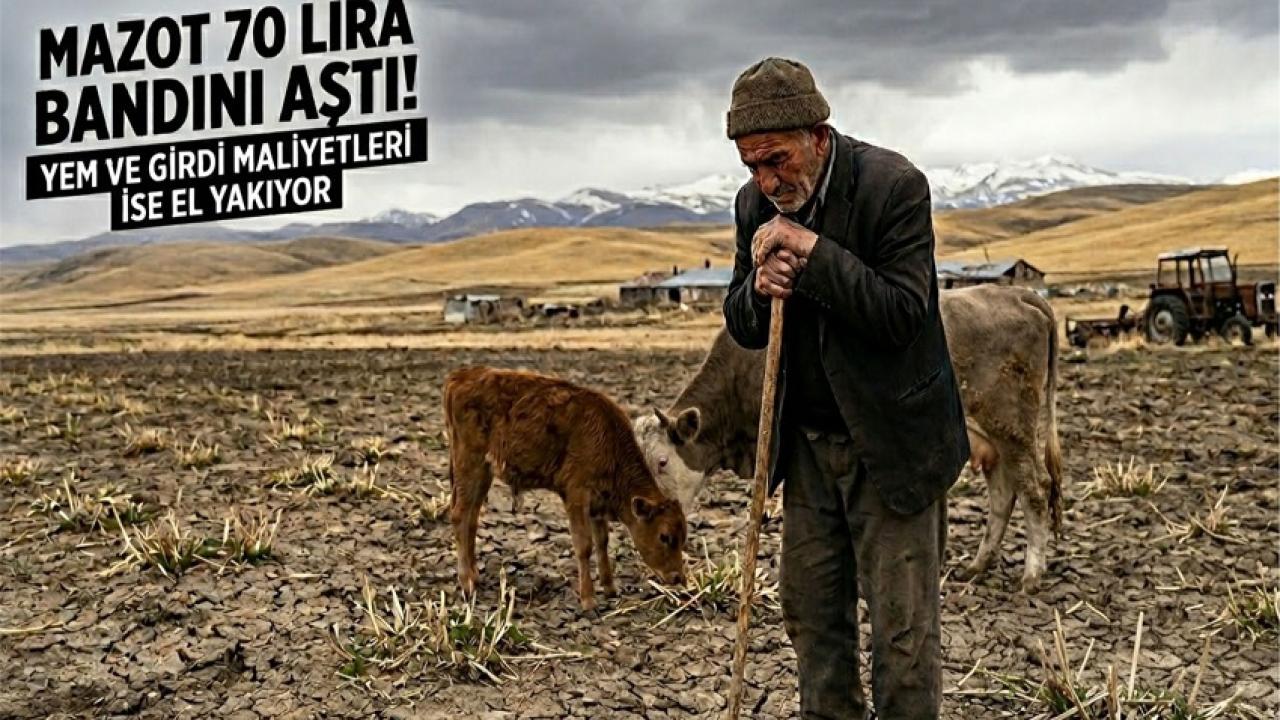 Tarım ve hayvancılıkta "Kayıp Yıl" endişesi!