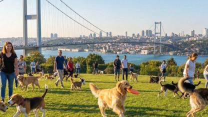 Zengin semtinde yaptığı işten 150 bin lira kazanıyor: Okumayın, iş kovalayın