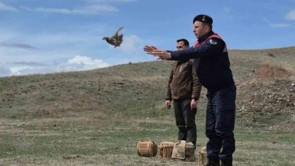 Kars’ta kaçak avcılara darbe: 51 canlı keklik doğaya kazandırıldı