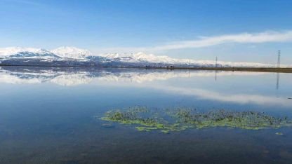 Meteorolojiden zirai don uyarısı