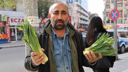 Dağlardan toplanan doğal antibiyotik, tezgahlarda yerini aldı