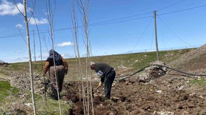 Ağrı’da vatandaşlar imece usulü fidan dikerek geleceğe nefes oluyor