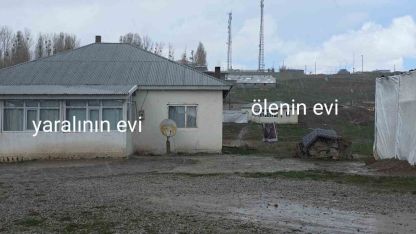 Köpek dehşetinin görüntüleri ortaya çıktı