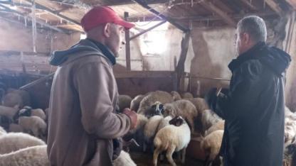 Ardahan Tarım Müdürlüğü’nden küçükbaş hayvan üreticilerine 180 bin TL destek!