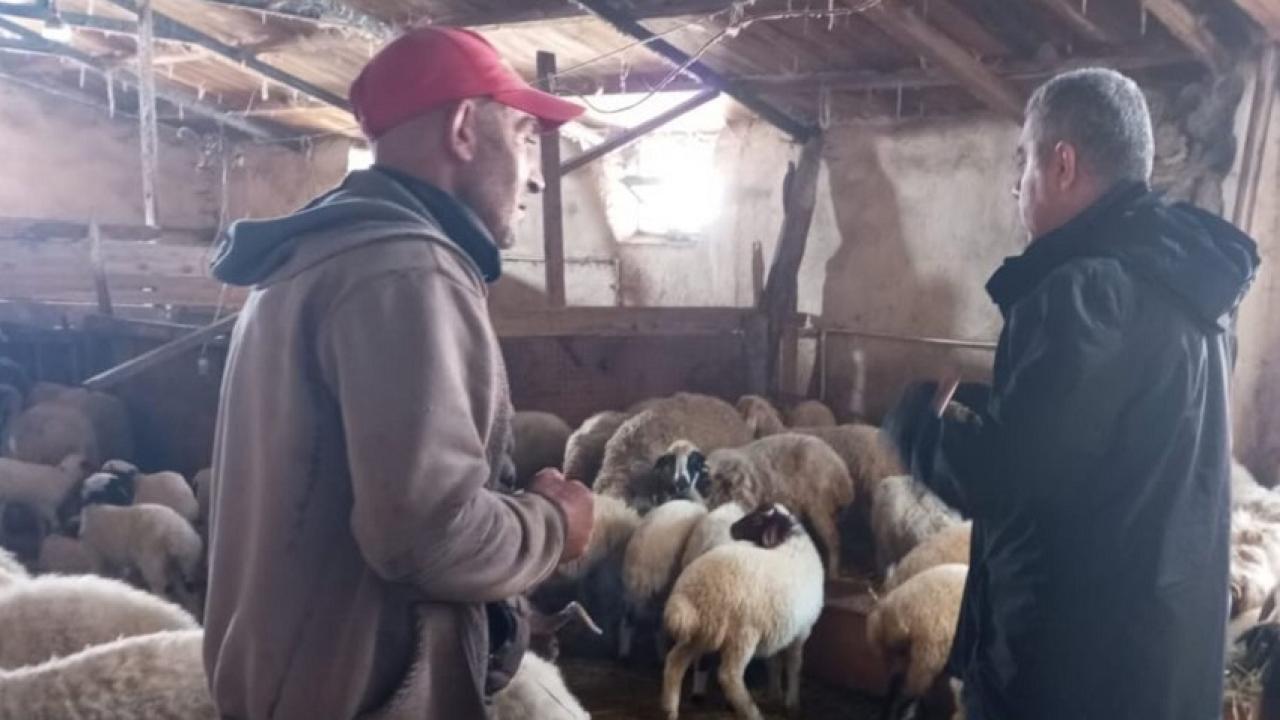 Ardahan Tarım Müdürlüğü’nden küçükbaş hayvan üreticilerine 180 bin TL destek!