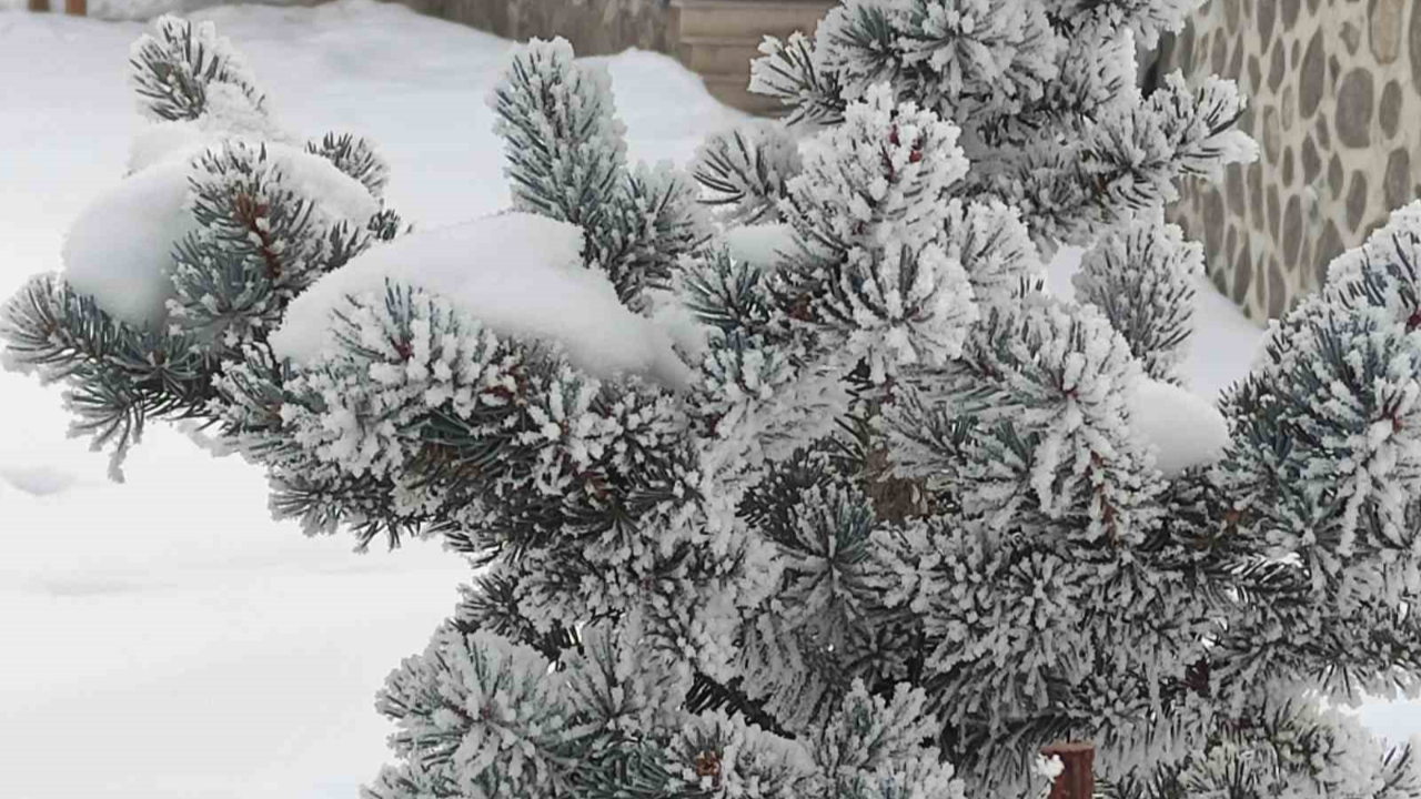 Ardahan’da kar sonrası dondurucu soğuklar etkili oldu