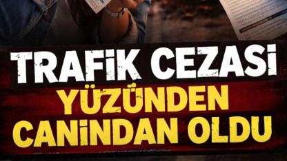 Ardahan'da trafik cezası can aldı