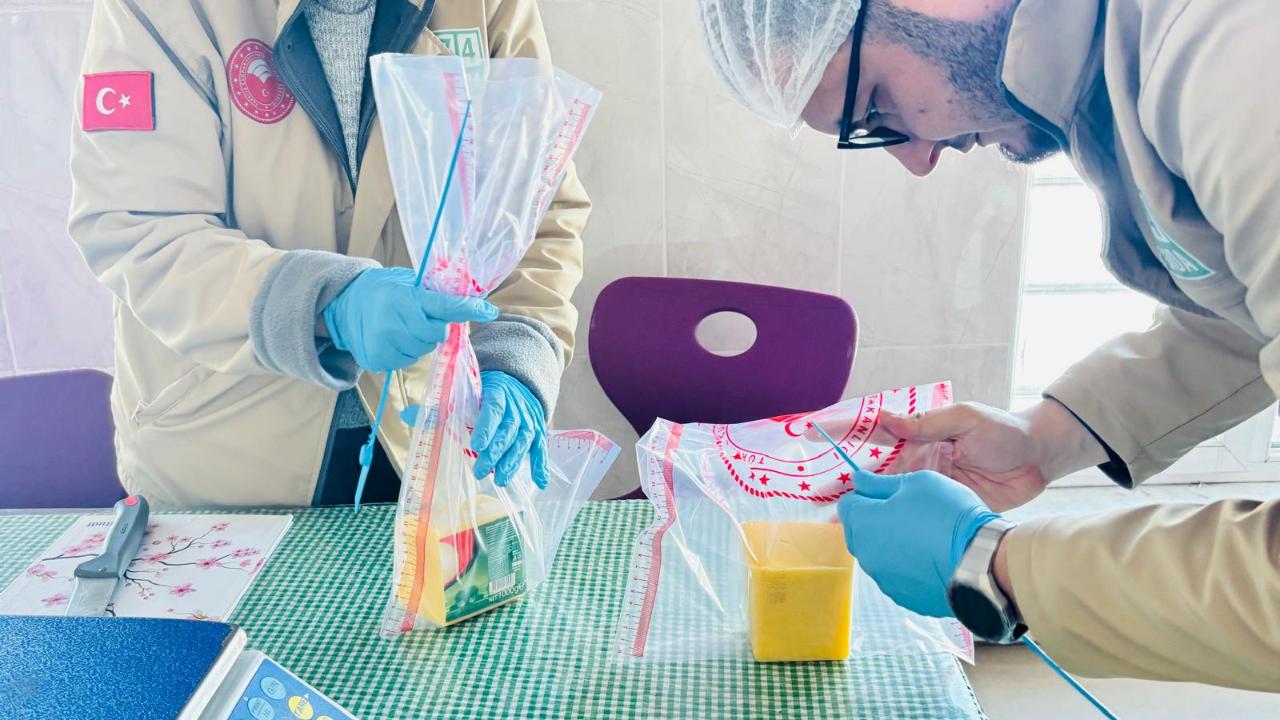 Gıda güvenliği için sahadalar