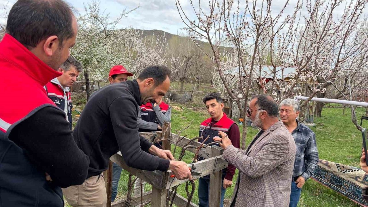 Kağızman’da meyvecilikte eğitim seferberliği sürüyor