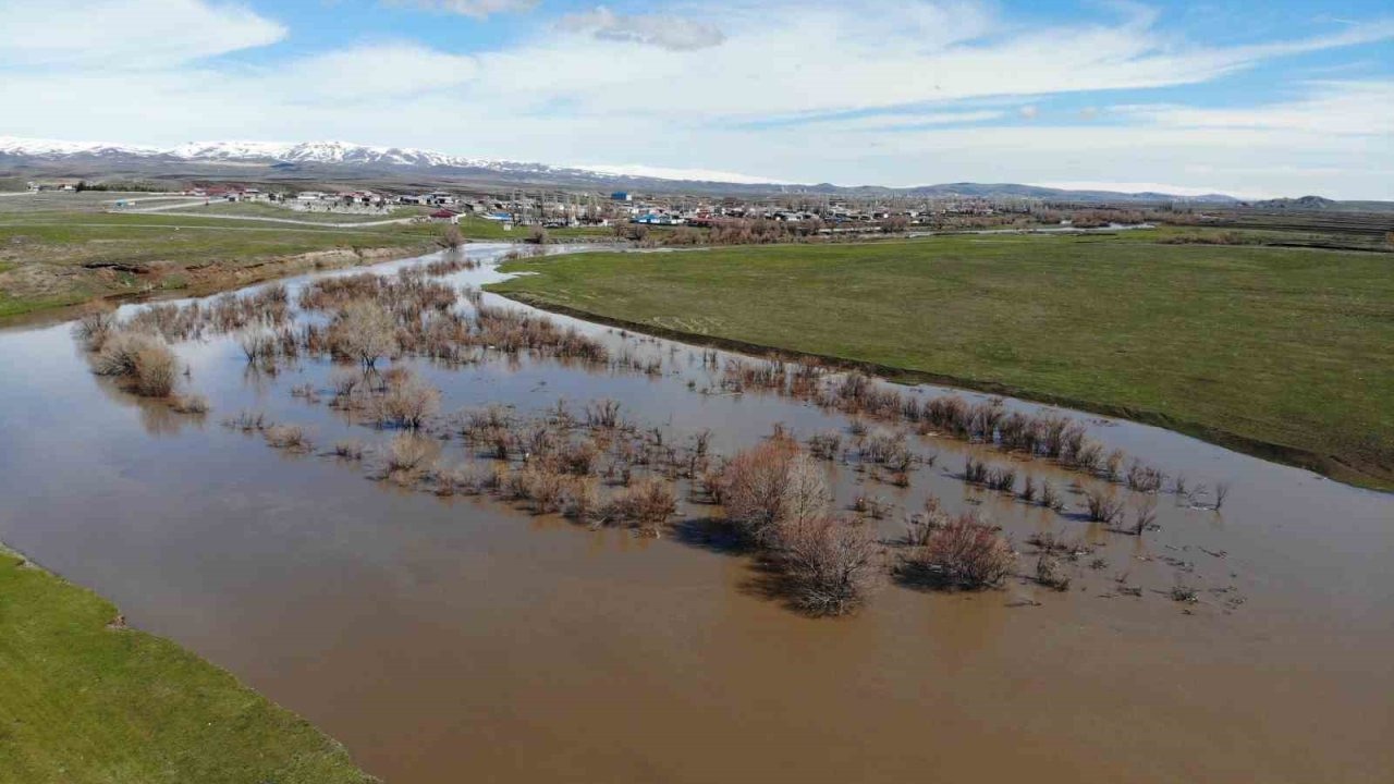 Kars Çayı taştı: Ağaçlar sular altında kaldı
