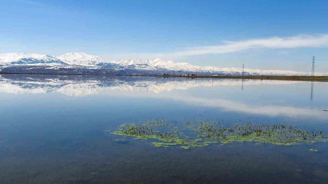 Meteorolojiden zirai don uyarısı