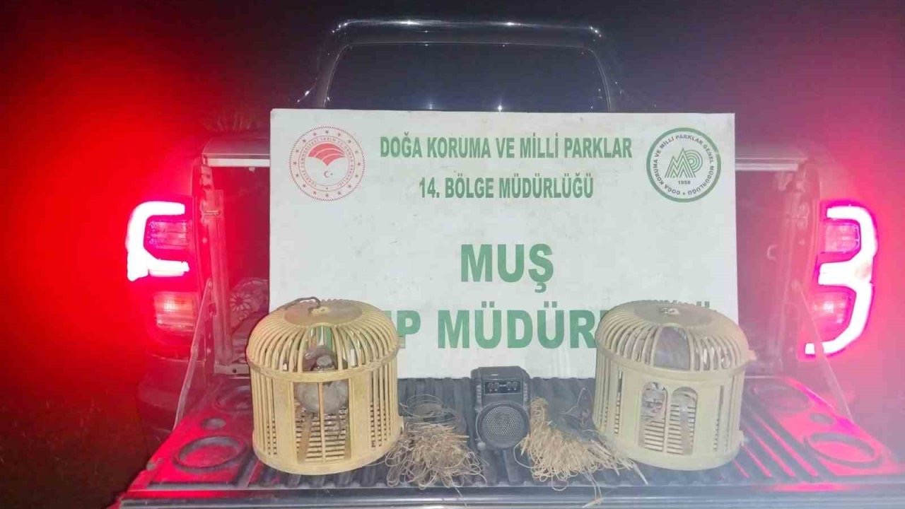 Muş’ta kaçak keklik avına suçüstü: 65 bin TL ceza kesildi