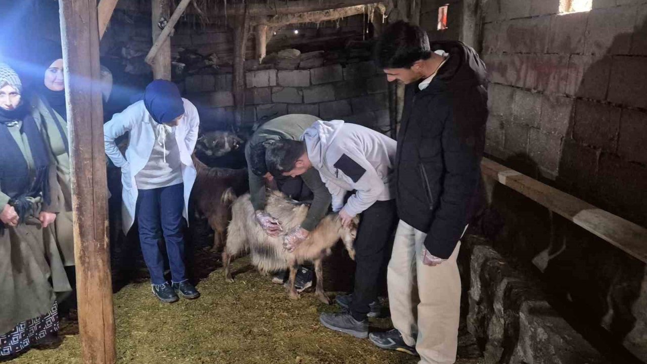 Özalp’te çiftçilere yönelik eğitim seferberliği başlatıldı