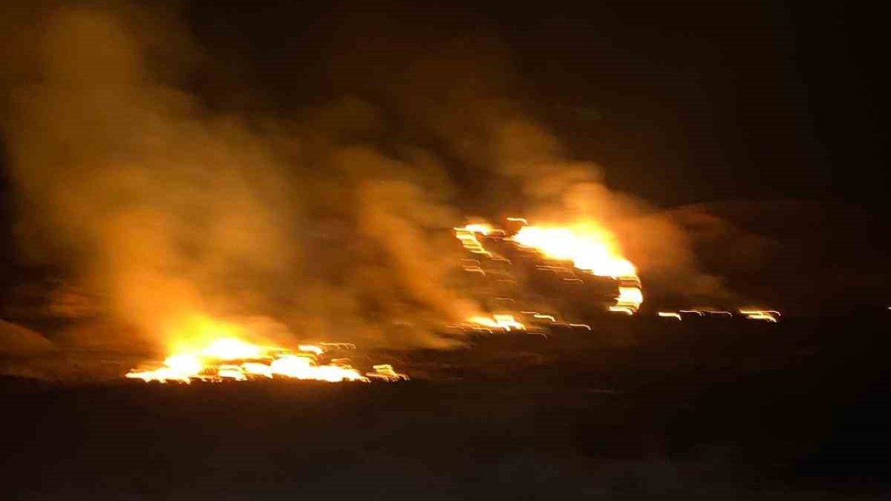 Van’da sazlık alanda yangın çıktı