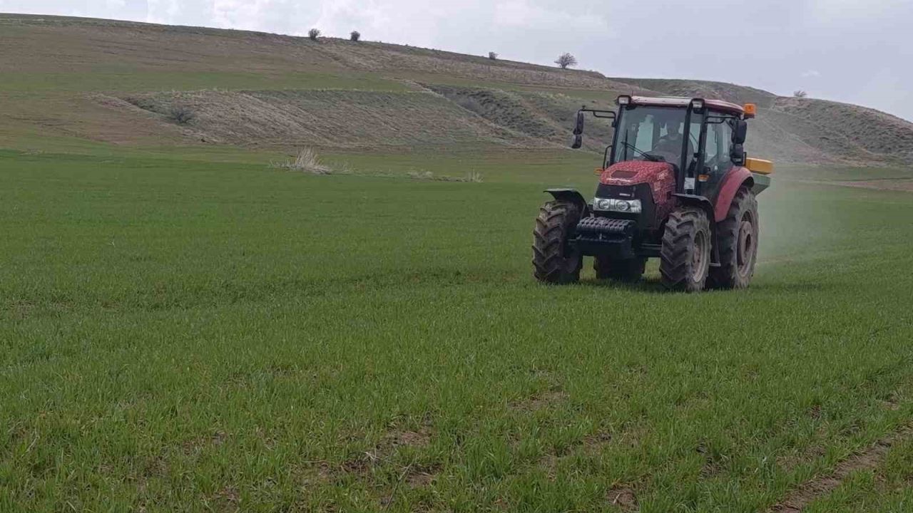 Ahlat’ta buğday tarlalarında gübre mesaisi